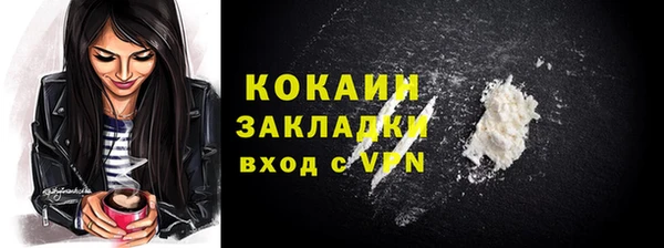мдпв Инсар