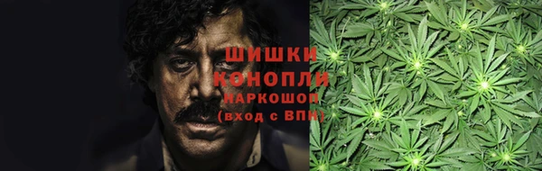 мдпв Инсар