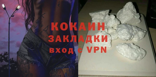 сатива Инта