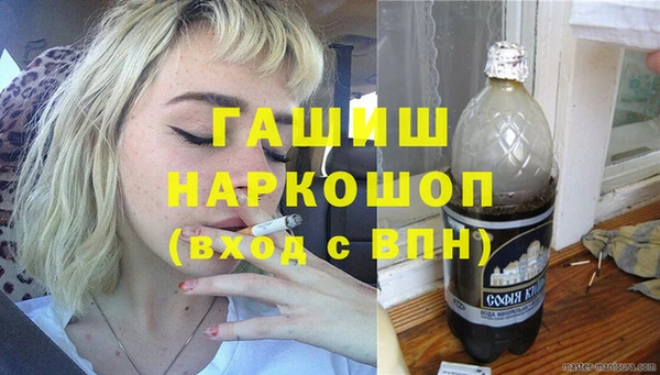 сатива Инта