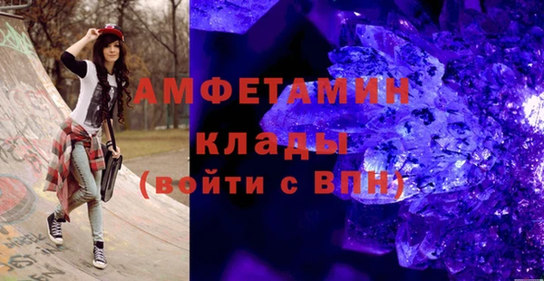 сатива Инта