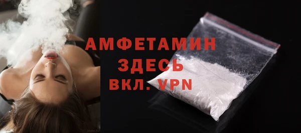 сатива Инта