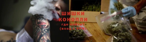 мдпв Инсар