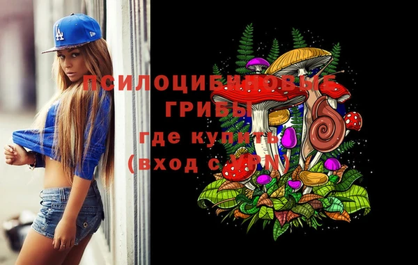 сатива Инта
