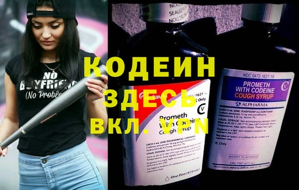дживик Иннополис