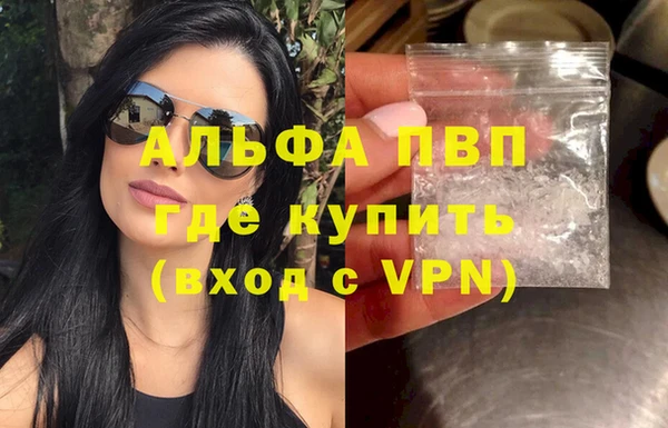 сатива Инта