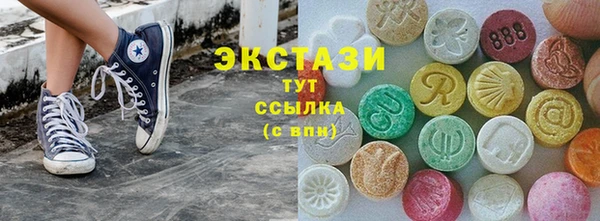 мдпв Инсар