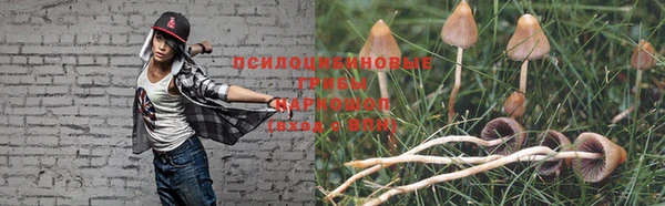 дживик Иннополис