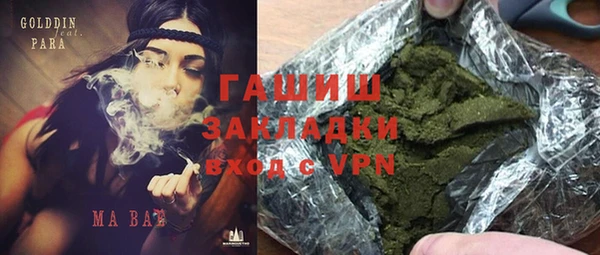 мдпв Инсар
