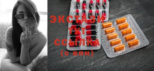 мдпв Инсар