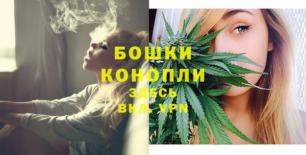 мдпв Инсар