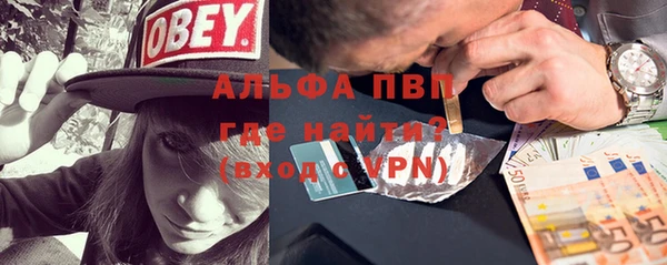 мдпв Инсар