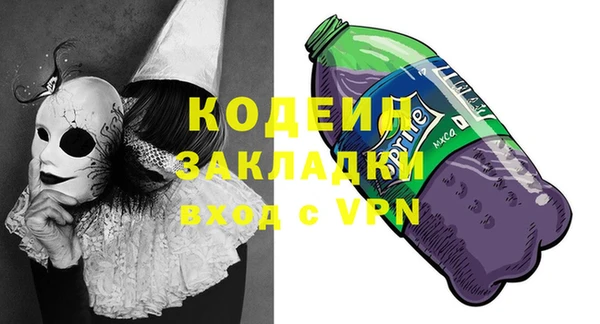 мдпв Инсар
