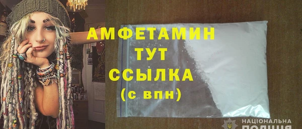 мдпв Инсар