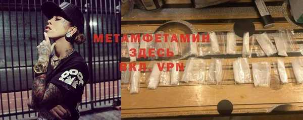 мдпв Инсар