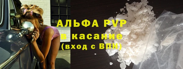сатива Инта