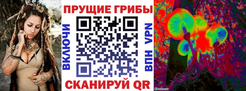 Галлюциногенные грибы Psilocybine cubensis  Купить закладки  Коряжма 